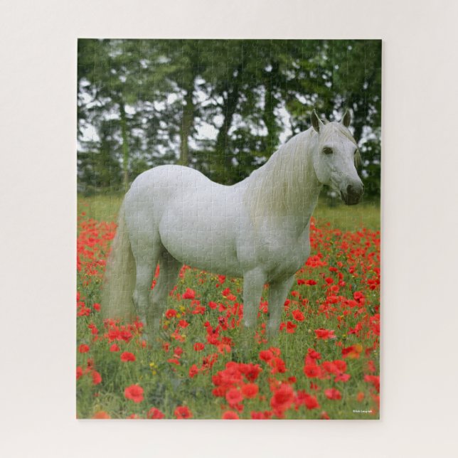 Puzzle Bob Langrish | Arabe gris debout En Fleurs Rouges (Vertical)