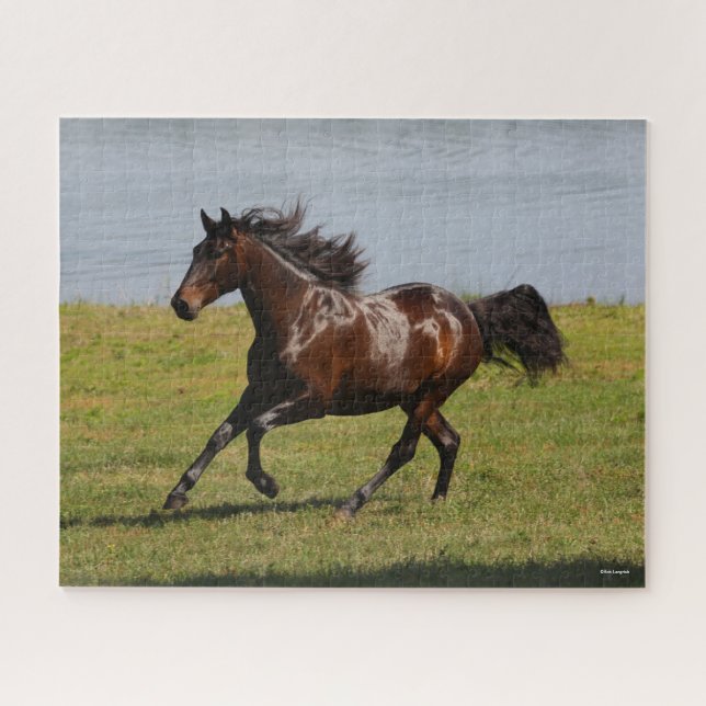 Puzzle Bob Langrish | Baie Lusitano Mare Courir Près Du L (Horizontal)