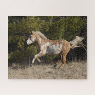Puzzle Bob Langrish   Bashkir Curly Stallion Courant