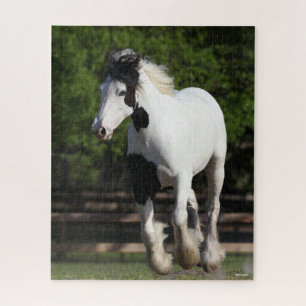 Puzzle Bob Langrish Black and White Gypsy Vanner Running