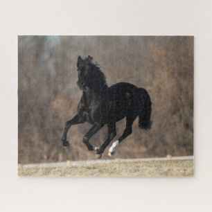 Puzzle Bob Langrish Black Andalucian Stallion Courir
