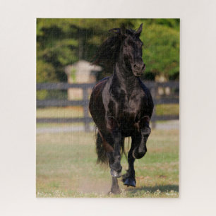 Puzzle Bob Langrish Black Friesian Mare Running