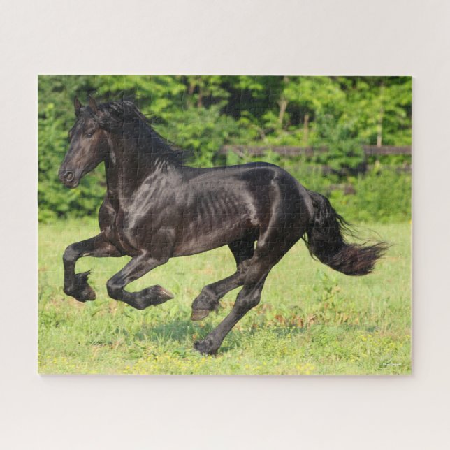 Puzzle Bob Langrish | Black Friesian Running (Horizontal)