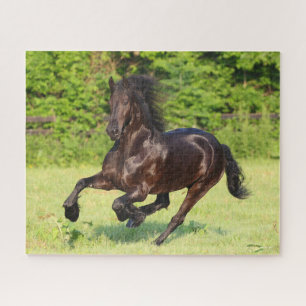 Puzzle Bob Langrish   Black Friesian Running