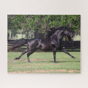 Puzzle Bob Langrish   Black Lusitano Runer Mane Flow