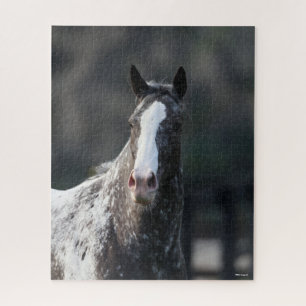Puzzle Bob Langrish Capture d'écran Appaloosa