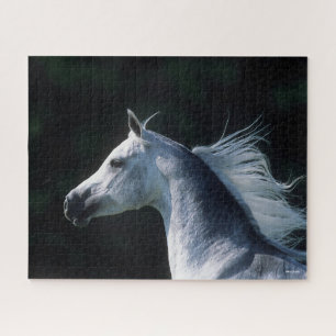 Puzzle Bob Langrish Capture d'écran arabe grise 3