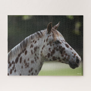 Puzzle Bob Langrish Capture d'écran de Spotty Appaloos