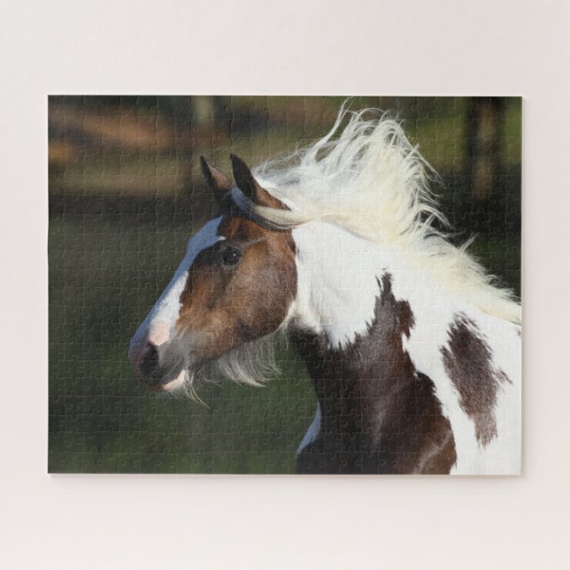 Puzzle Bob Langrish | Capture d'écran du Cheval du Tambou (Horizontal)