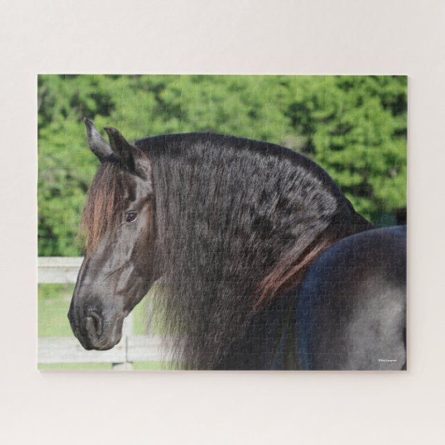 Puzzle Bob Langrish | Capture d'écran Friesian Horse Stan (Horizontal)
