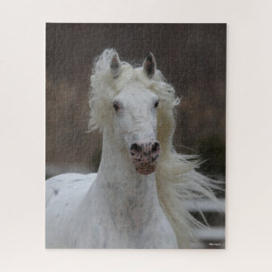 Puzzle Bob Langrish   Capture d'écran Grey Friesian Appa