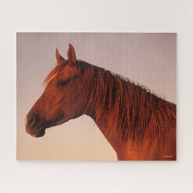 Puzzle Bob Langrish | Cascade de soleil pour Cheval arabe (Horizontal)