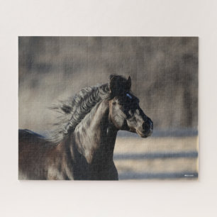 Puzzle Bob Langrish Casque andalou de Mane Flow