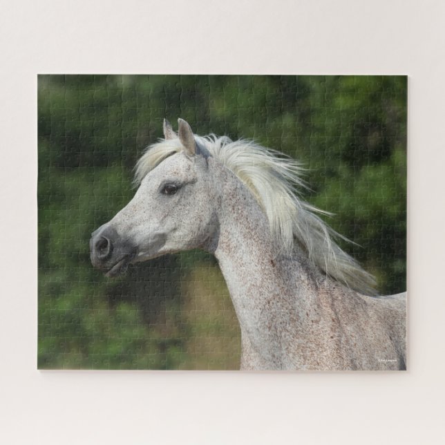 Puzzle Bob Langrish | Casque arabe gris (Horizontal)
