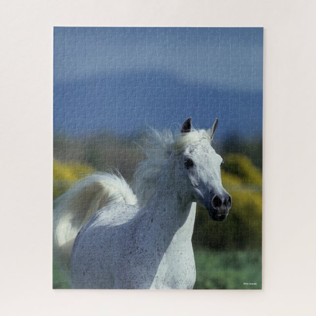 Puzzle Bob Langrish | Casque arabe gris (Vertical)