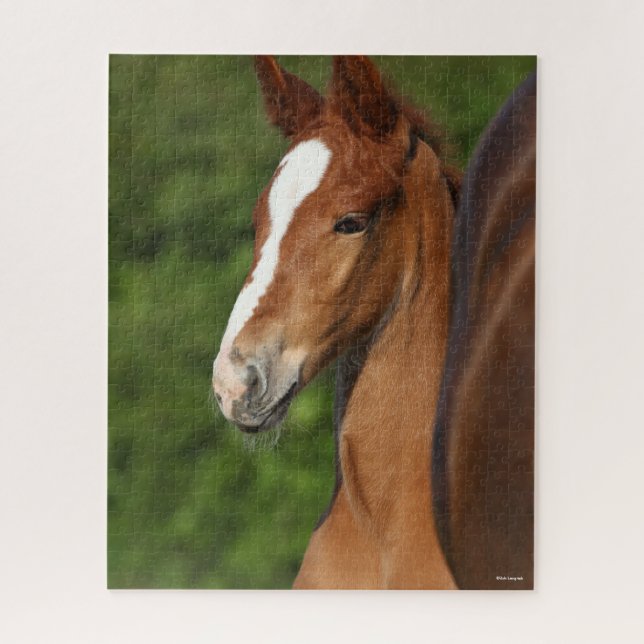 Puzzle Bob Langrish | Casque de Foie Chestnut Warmblood (Vertical)