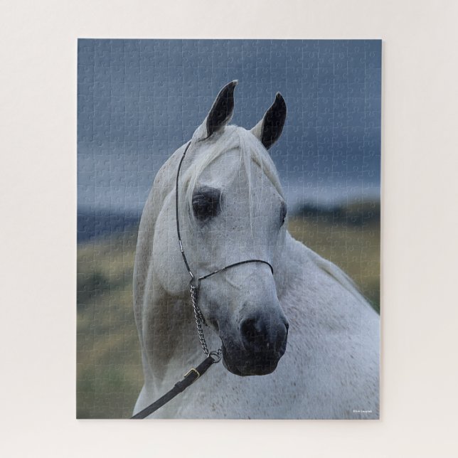 Puzzle Bob Langrish | Casque d'étoile arabe grise (Vertical)