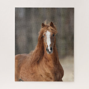 Puzzle Bob Langrish Casque Hackney de châtaignes