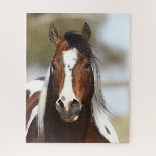 Puzzle Bob Langrish Casque Stallion de peinture