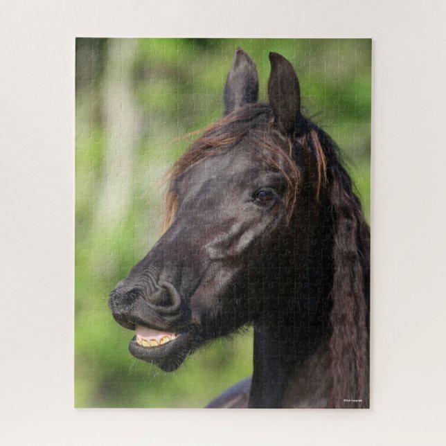 Puzzle Bob Langrish | Casquette noire Friesian Flehmen (Vertical)
