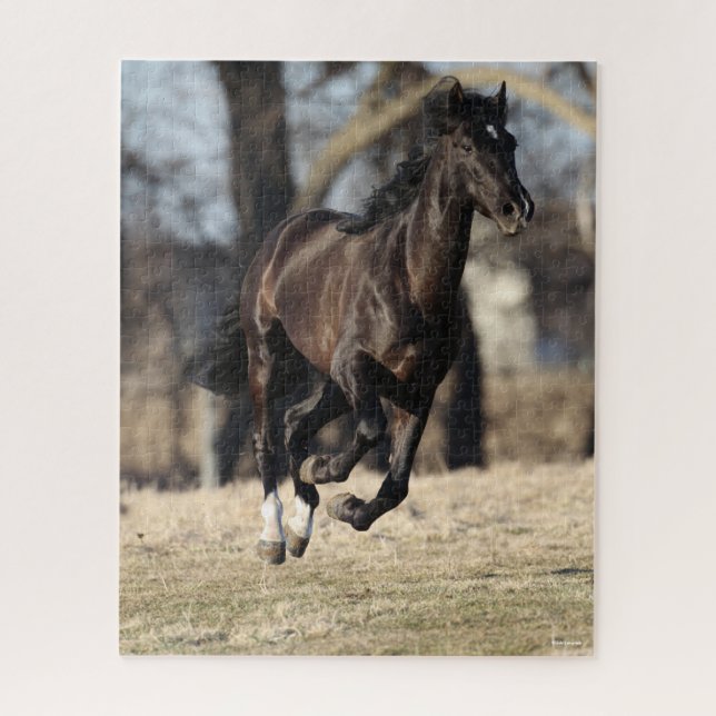 Puzzle Bob Langrish | Cheval Andalou Noir Courir (Vertical)