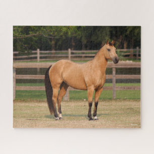 Puzzle Bob Langrish Cheval de quart en peau de seau deb