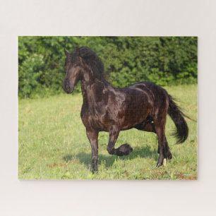 Puzzle Bob Langrish   Cheval friésien Noir Courir