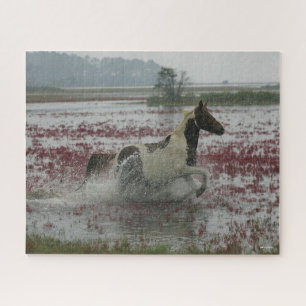 Puzzle Bob Langrish Chincoteague Cheval Courir Dans L'E
