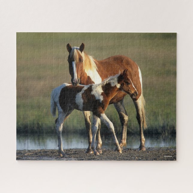 Puzzle Bob Langrish | Chincoteague Mare et Foie debout (Horizontal)
