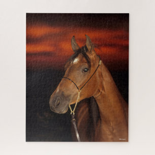 Puzzle Bob Langrish   Coucher de soleil de l'étoile arabe