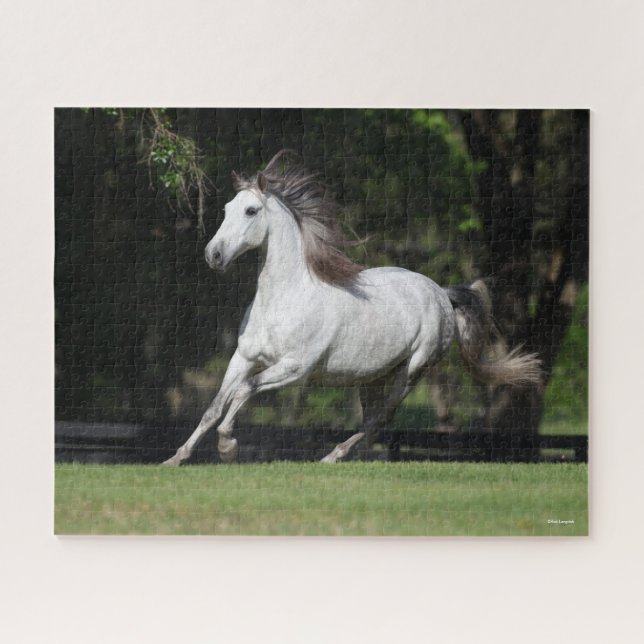 Puzzle Bob Langrish | Dapple Grey Andalucian Running (Horizontal)