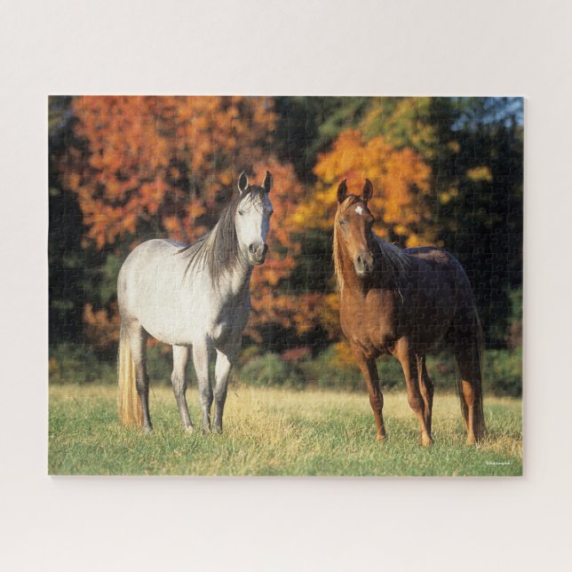 Puzzle Bob Langrish Deux Arabes se rassemblent sur le ter (Horizontal)