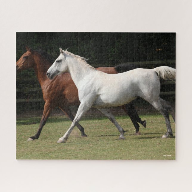Puzzle Bob Langrish | Deux Chevaux Arabes Courir Ensemble (Horizontal)