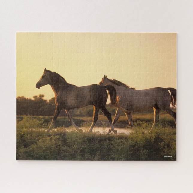 Puzzle Bob Langrish | Deux chevaux arabes marchant au cou (Horizontal)