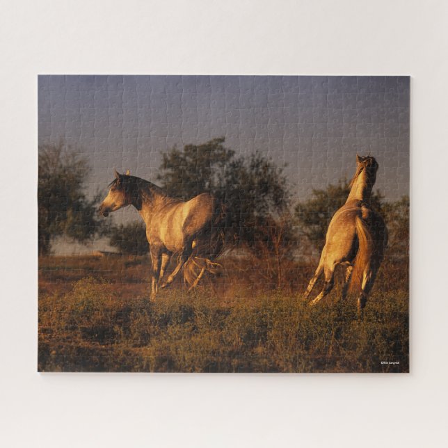 Puzzle Bob Langrish | Deux Chevaux Couchant Au Coucher Du (Horizontal)