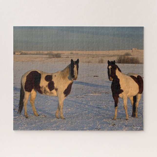 Puzzle Bob Langrish | Deux Chevaux De Peinture Dans La Ne (Horizontal)