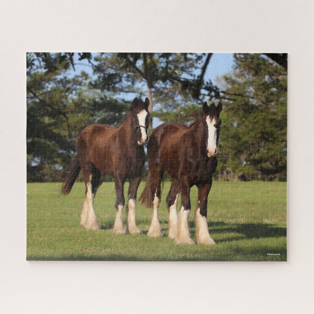 Puzzle Bob Langrish | Deux Jeunes Chevaux De Chaleur Se T (Horizontal)