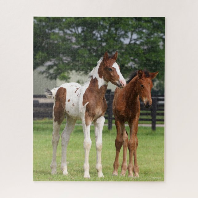 Puzzle Bob Langrish | Deux poulains du cheval sportif deb (Vertical)