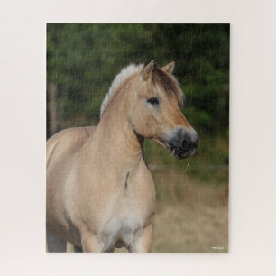 Puzzle Bob Langrish   Fjord Horse debout Capot