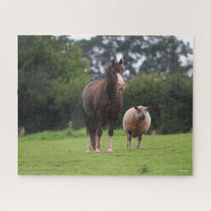 Puzzle Bob Langrish   Gallois Pony Mare Debout Avec Le Mo
