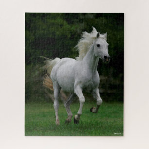 Puzzle Bob Langrish Gray Arabe Courir Le Flot De Mane