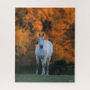 Puzzle Bob Langrish Gray Warmblood Standing Automne