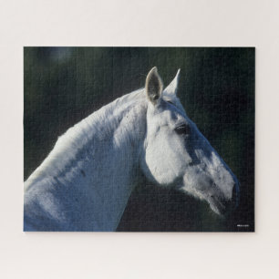 Puzzle Bob Langrish Gray Warmblood Standing Headshot