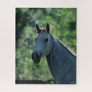 Puzzle Bob Langrish Greish Dutch Warmblood Headshot rétro