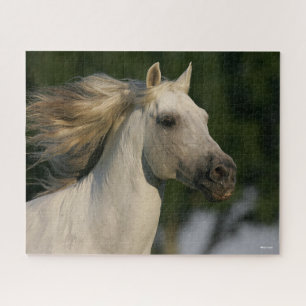 Puzzle Bob Langrish Grey Andalucian Headshot Mane Flowing