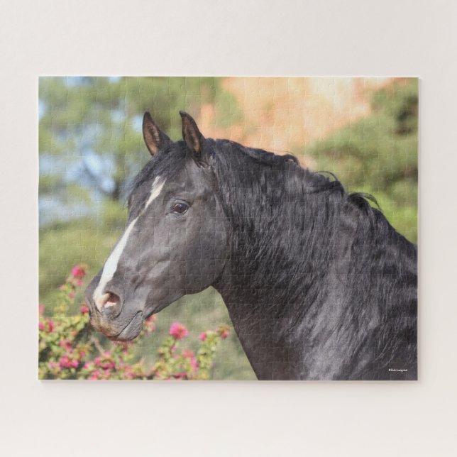 Puzzle Bob Langrish | Gros plan noir de Stallion andalou (Horizontal)