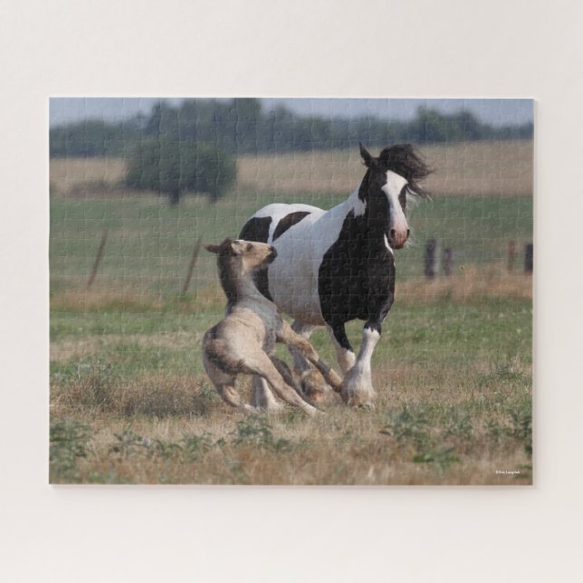 Puzzle Bob Langrish | Gypsy Vanner Mare et Foie (Horizontal)