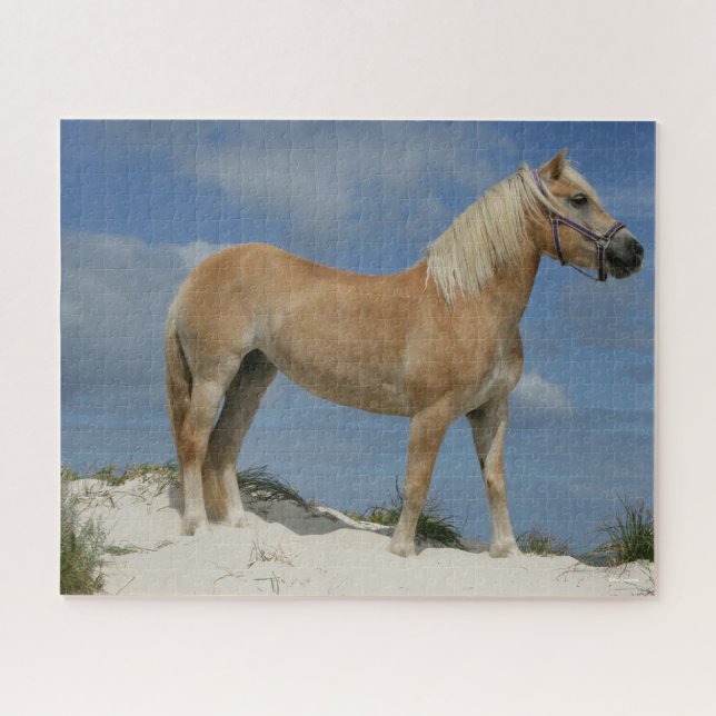 Puzzle Bob Langrish | Haflinger Debout Sur La Plage (Horizontal)