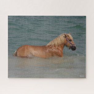 Puzzle Bob Langrish Haflinger Horse Nager En Mer