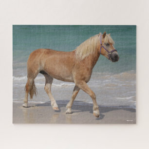 Puzzle Bob Langrish Haflinger Marcher Sur La Plage